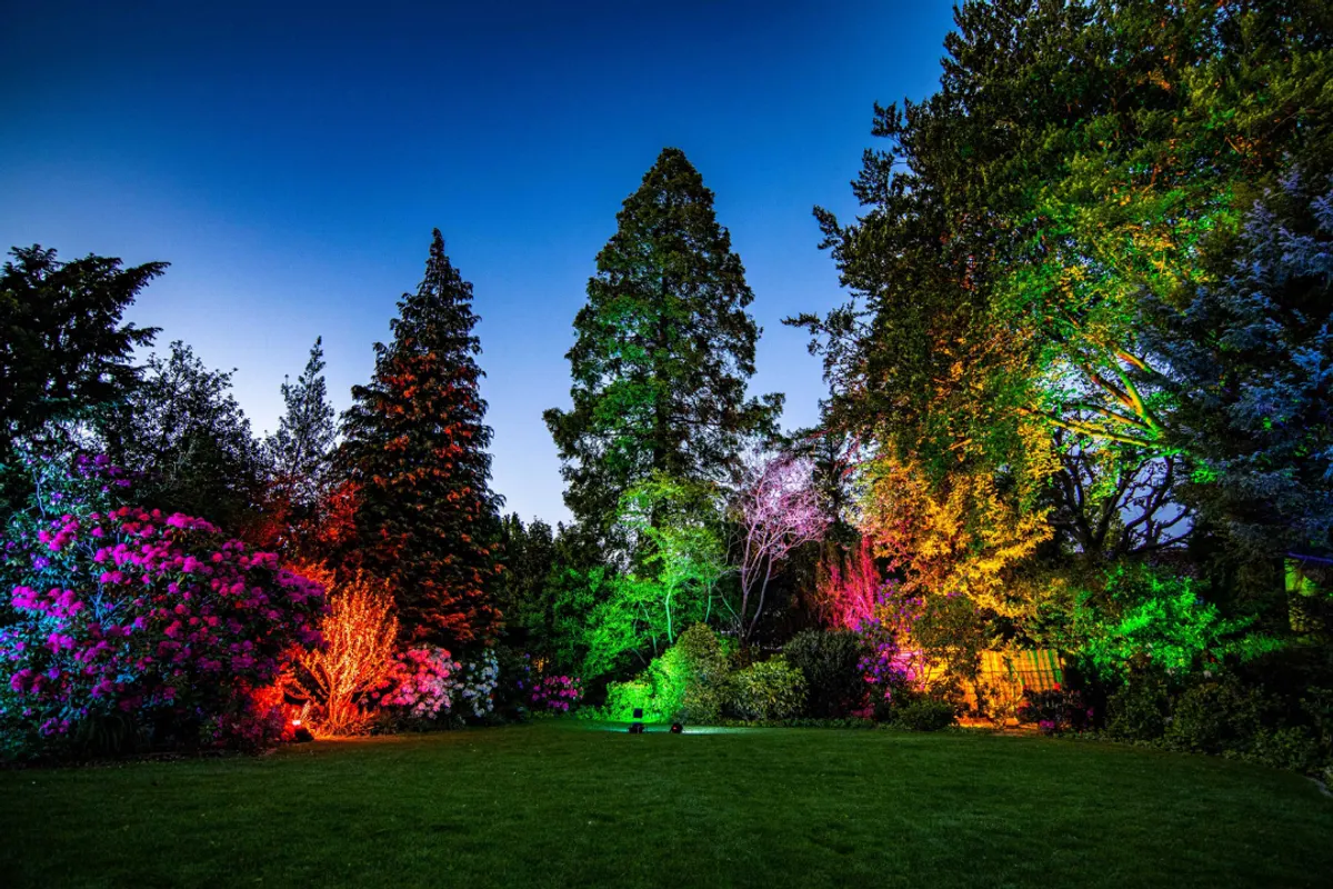 Bäume im Garten bei Nacht mit dem Lichtkonzept von Moreno